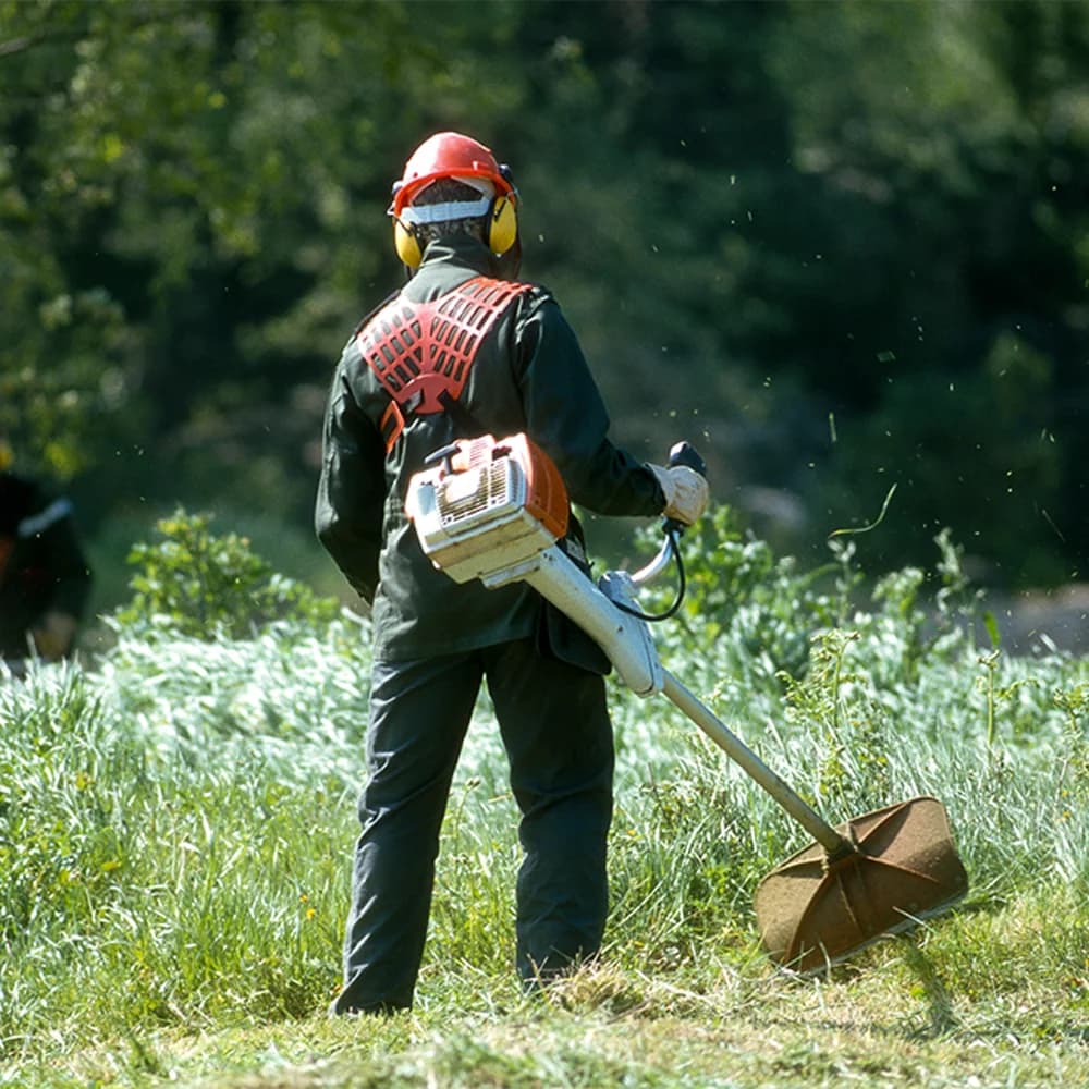 Débroussaillage réalisée par un professionnel