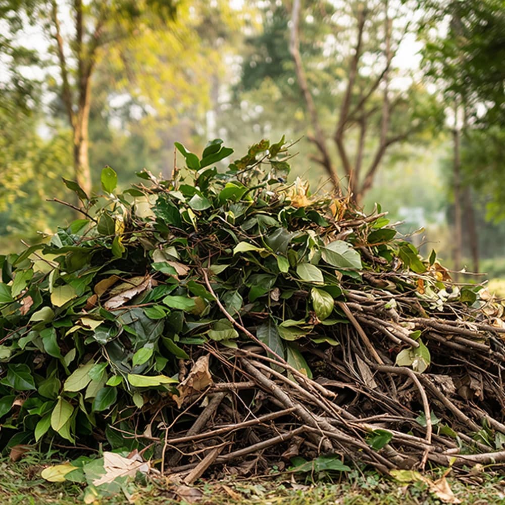 Évacuation des déchets verts réalisée par un professionnel
