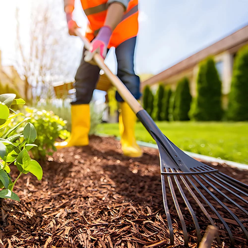 Entretien de jardin réalisée par un professionnel