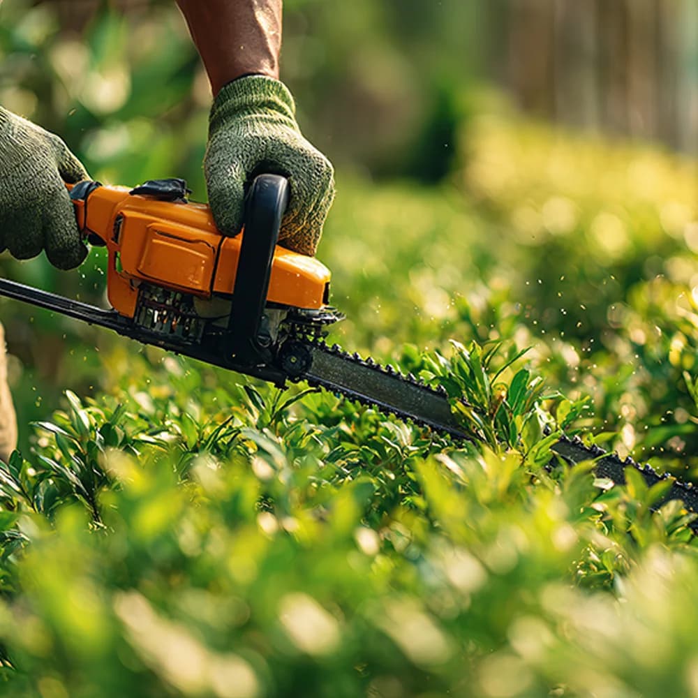 Préparation d’une intervention de entretien de jardin